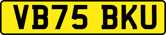 VB75BKU