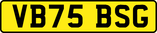 VB75BSG