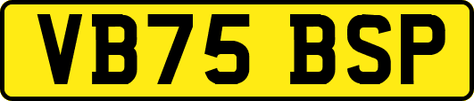VB75BSP