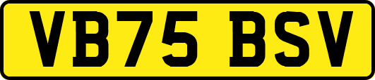 VB75BSV