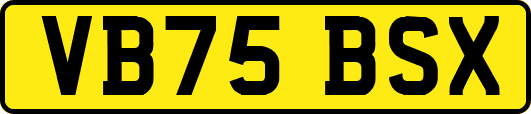 VB75BSX
