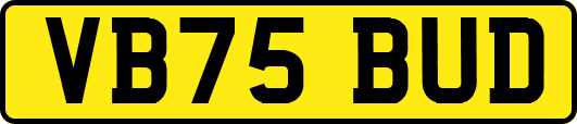VB75BUD
