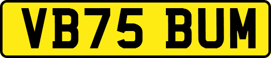 VB75BUM