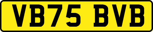 VB75BVB