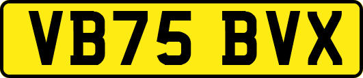 VB75BVX