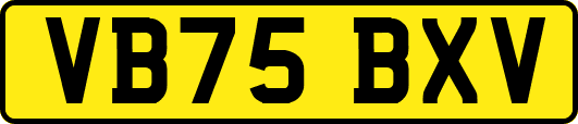 VB75BXV