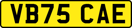 VB75CAE