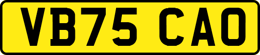 VB75CAO