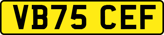 VB75CEF