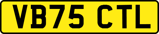 VB75CTL