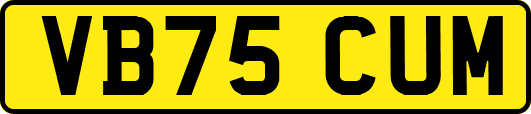 VB75CUM