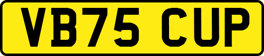 VB75CUP