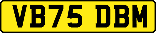 VB75DBM