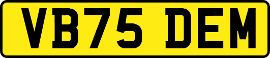 VB75DEM