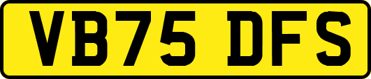 VB75DFS