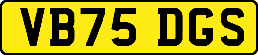VB75DGS