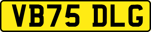 VB75DLG