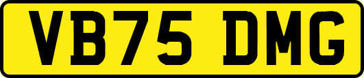 VB75DMG