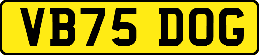 VB75DOG