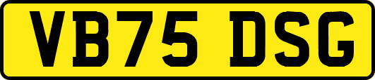 VB75DSG