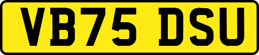 VB75DSU