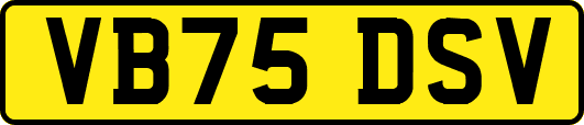 VB75DSV