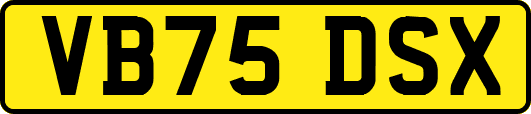 VB75DSX