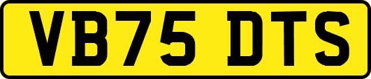 VB75DTS