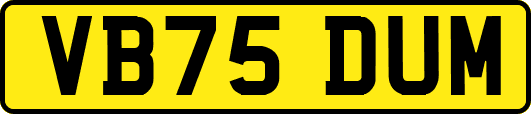 VB75DUM