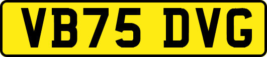VB75DVG