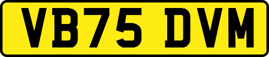 VB75DVM