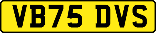 VB75DVS