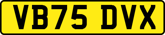 VB75DVX