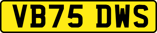 VB75DWS