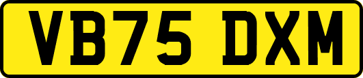 VB75DXM