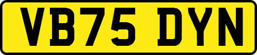 VB75DYN