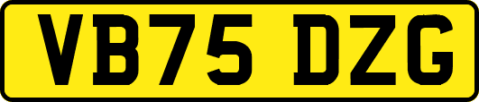 VB75DZG