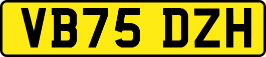 VB75DZH