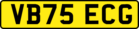 VB75ECG
