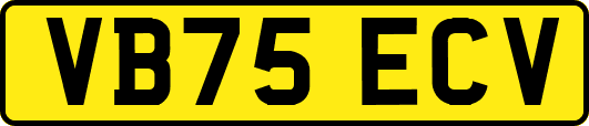 VB75ECV