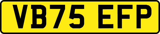 VB75EFP