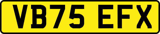 VB75EFX