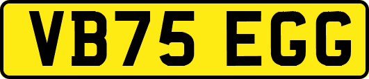 VB75EGG