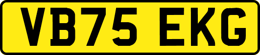 VB75EKG