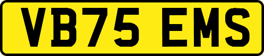 VB75EMS