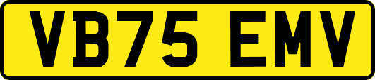 VB75EMV