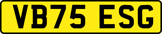 VB75ESG