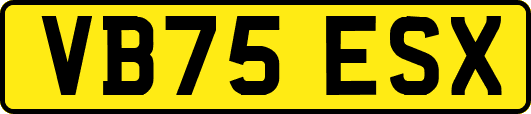 VB75ESX