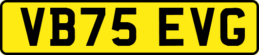 VB75EVG