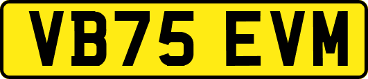 VB75EVM